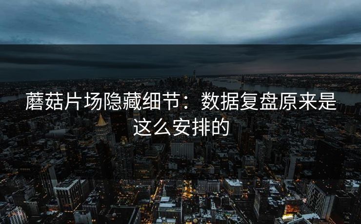 蘑菇片场隐藏细节:数据复盘原来是这么安排的 蘑菇片场隐藏细节:数据复盘原来是这么安排的