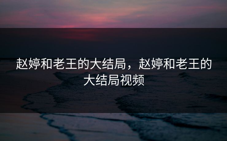 赵婷和老王的大结局，赵婷和老王的大结局视频